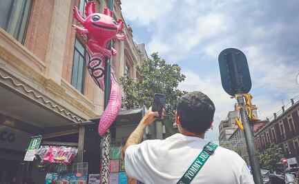 En Centro Histórico, la ajolotización se expande