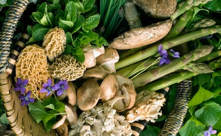 Ingredientes de temporada: todo sobre la cocina de lluvia