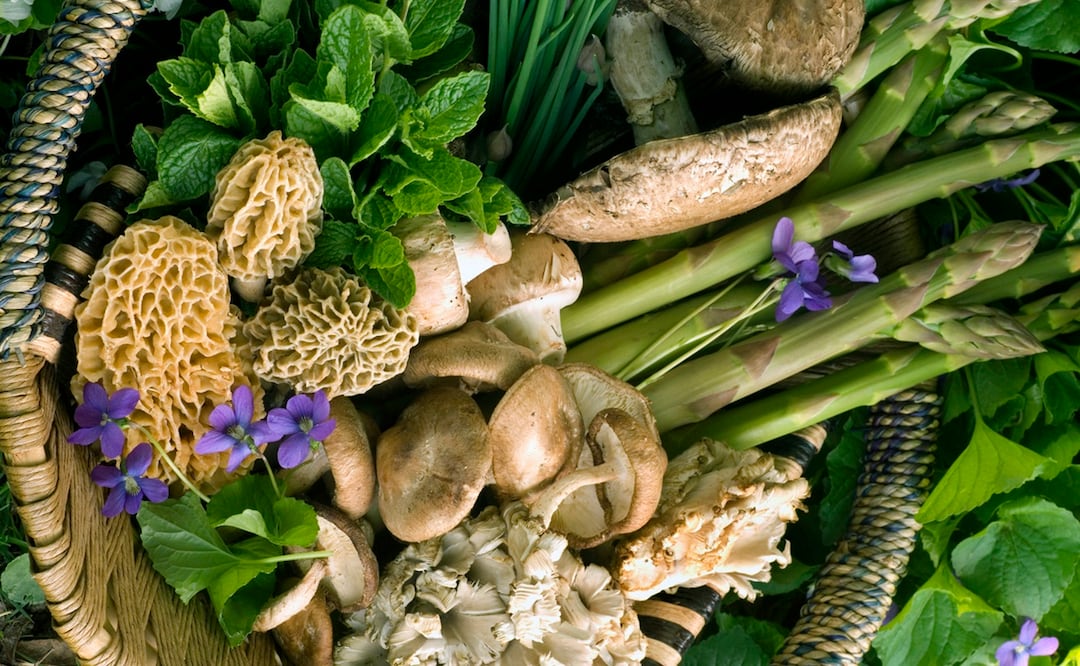 Aprovecha la temporada de lluvias cocinando con estos ingredientes. Foto: iStock