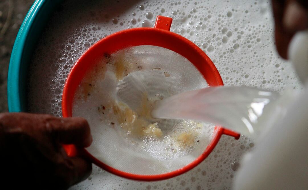 Foto: EFE/Mario Guzmán