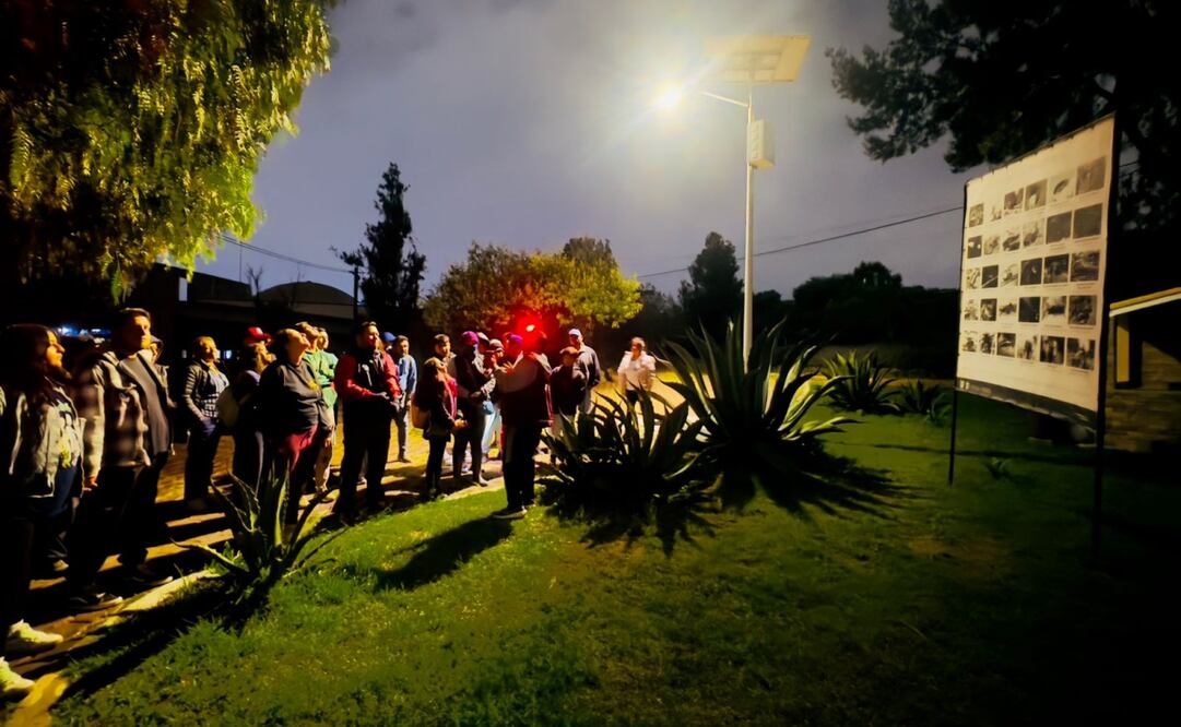 Sedema de la CDMX anuncia campamento "Murciélagos. Foto: especial