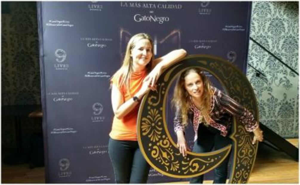 Gato Negro, el vino que marca la evolución chilena 