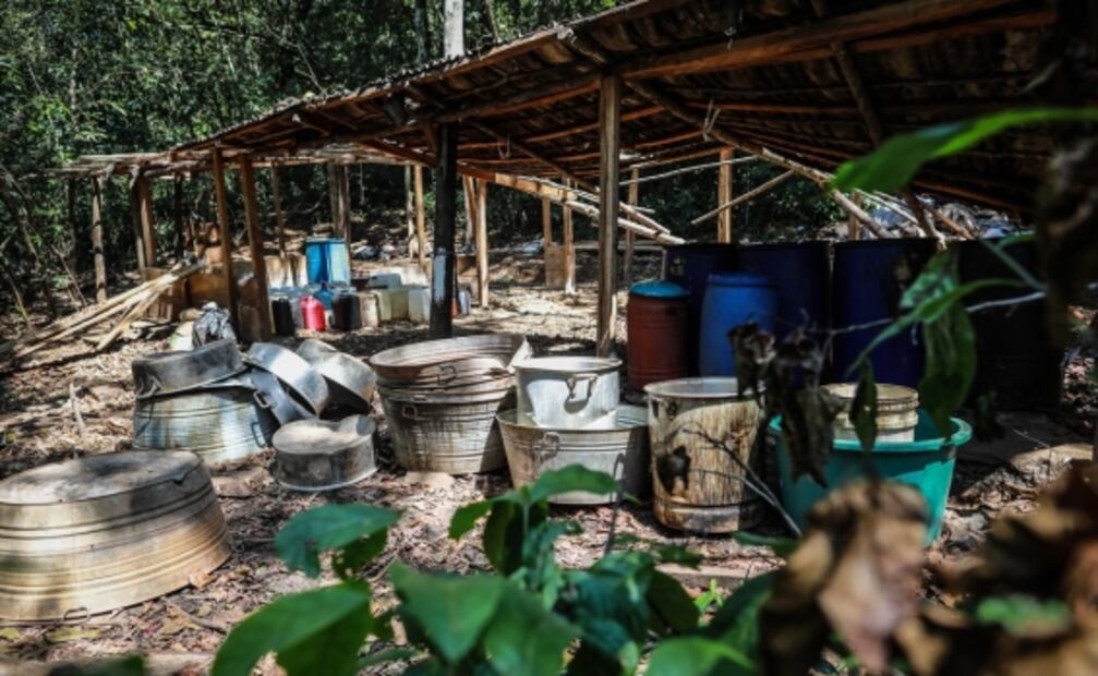 Así fue cómo en dos semanas el Ejército destruyó en Guerrero dos hectáreas de coca