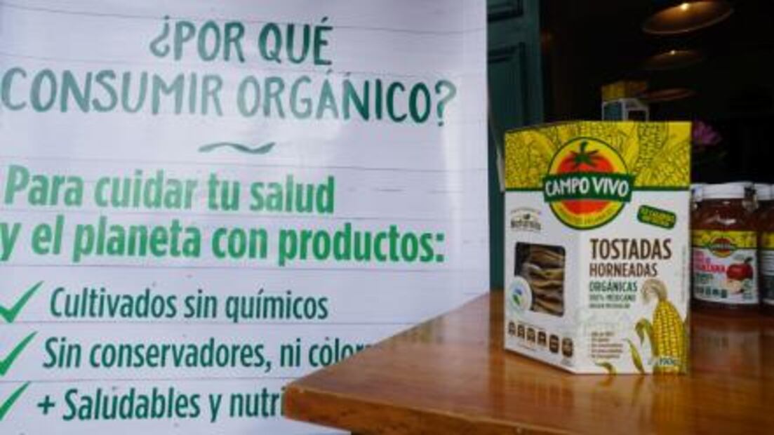 Presentan tostadas hechas con maíz orgánico michoacano