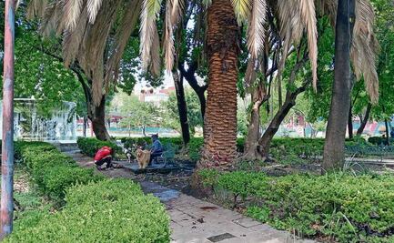 "No se pueden ocupar espacios públicos de la CDMX para consumo de marihuana si no hay un acuerdo": Secretario de Seguridad 