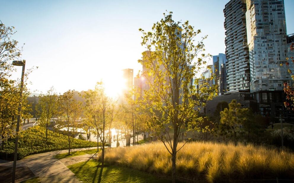 Pasa una tarde agradable con tus seres queridos en estos destinos para hacer tu picnic, o ver una película al aire libre en CDMX. / Foto: Parque La Mexicana