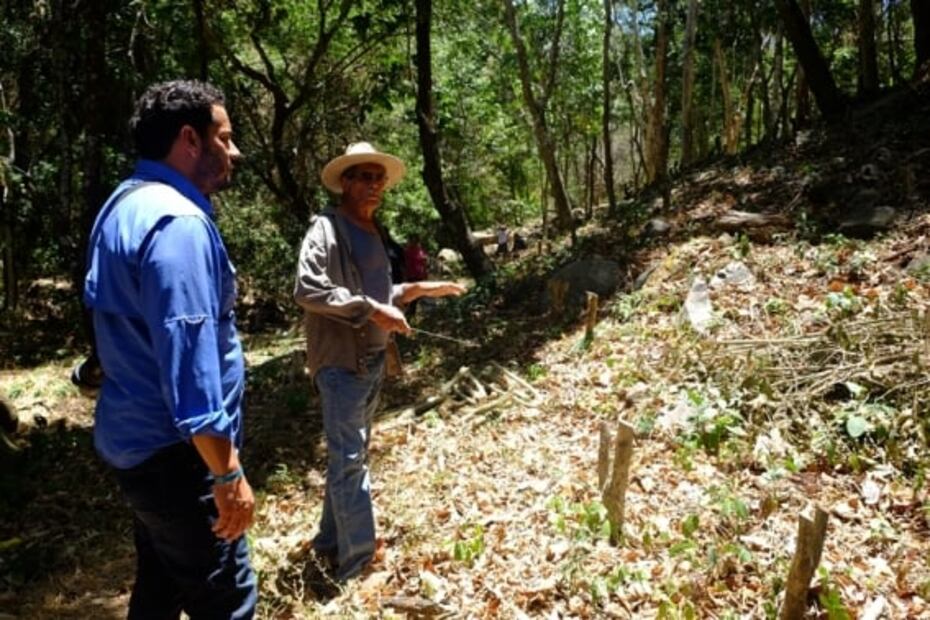 Café colimota, el futuro para las barras de especialidad