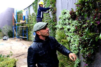 El hombre que “pinta” murales vegetales