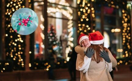Navidad 2024; Descubre el significado del muérdago en las decoraciones de las casas