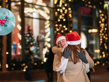 Navidad 2024; Descubre el significado del muérdago en las decoraciones de las casas