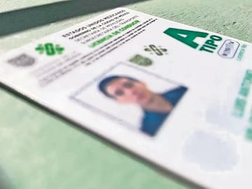 ¿Qué sigue en la ruta legal de la licencia de conducir permanente?