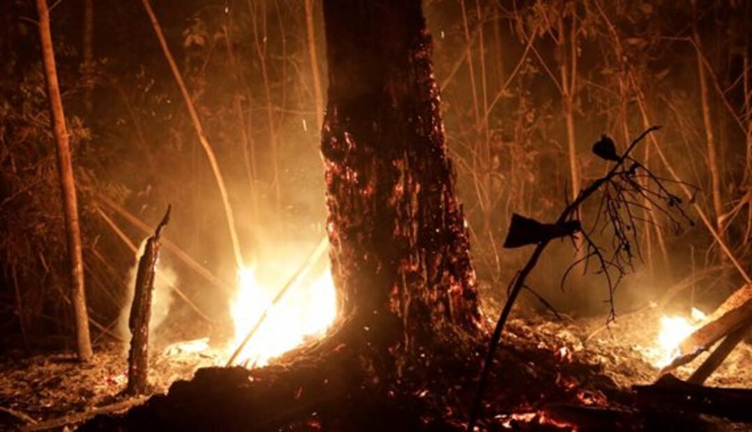 Las imágenes de los incendios registrados en la selva amazónica de Brasil