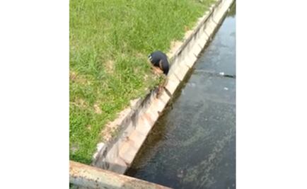 Hombre con discapacidad salva a gatito atrapado en drenaje