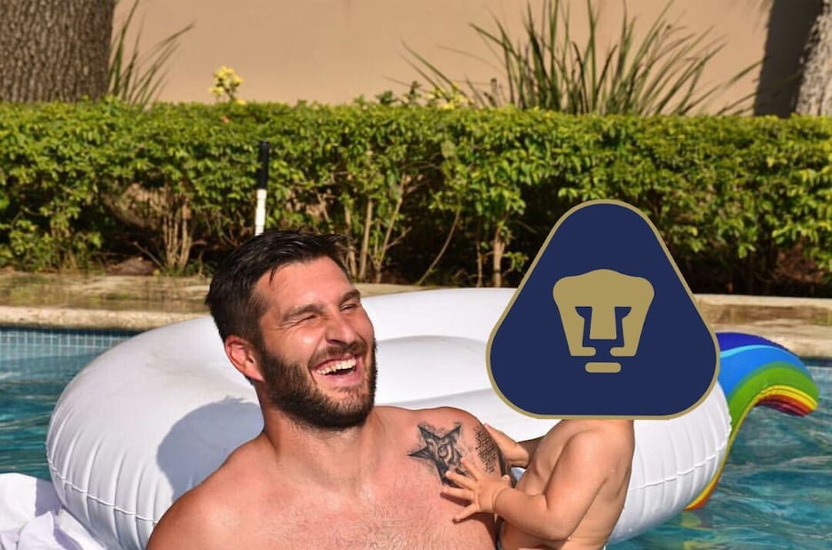 Pumas MEMES