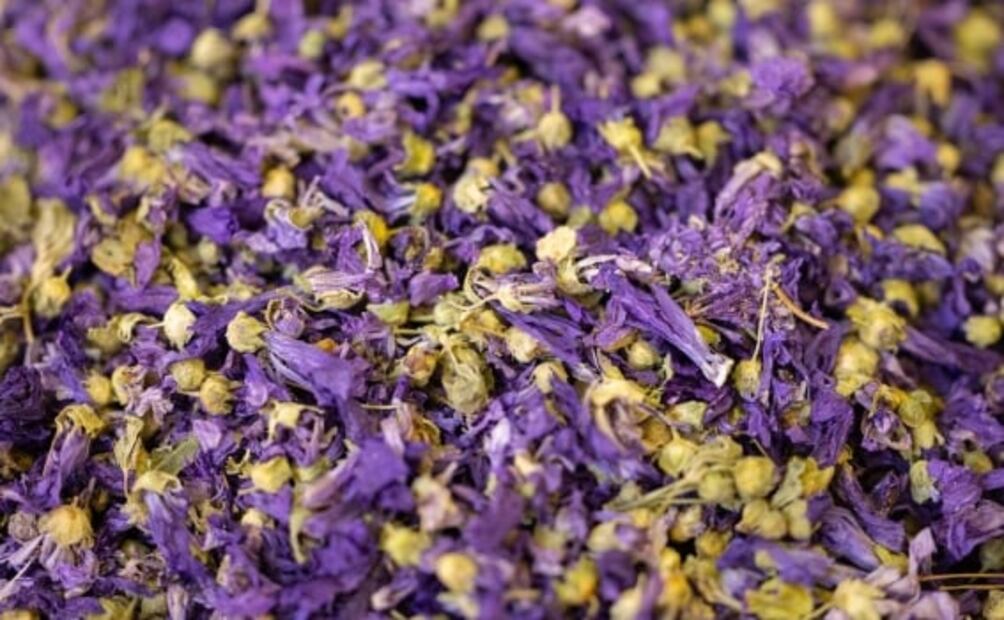 Disfruta los beneficios de la infusión de malva