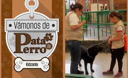 Vámonos de Pata de Perro. Una escuela para dueños de perros	