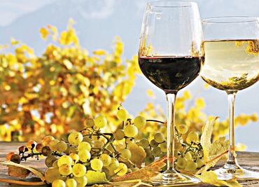 Mexican wines are among the best in the world