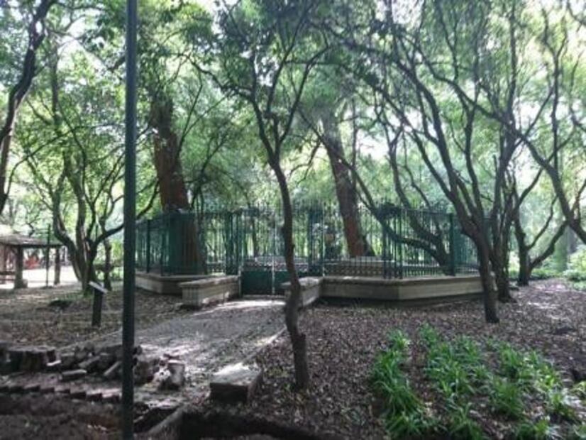 Un antiguo espacio para leer en Chapultepec