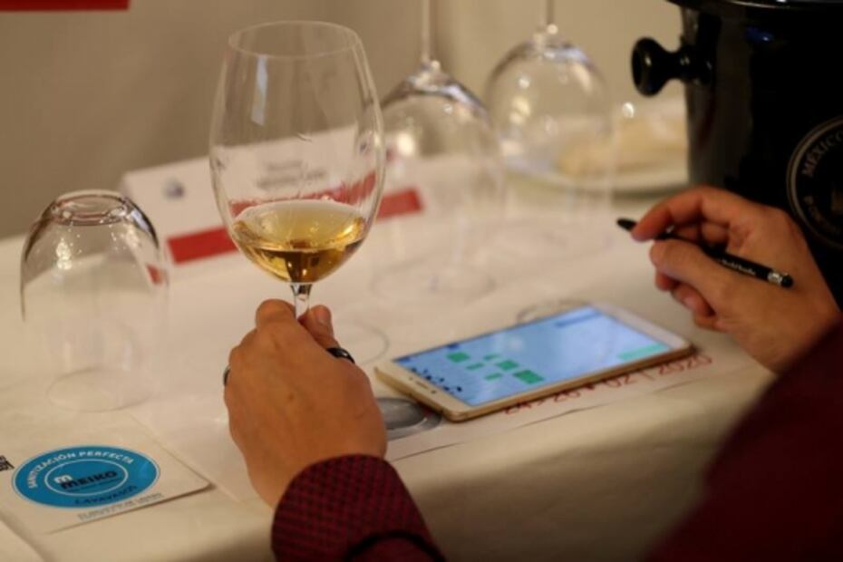 ¿Por qué estar orgullosos del vino mexicano?, Carlos Borboa, de Mexico Selection nos explica