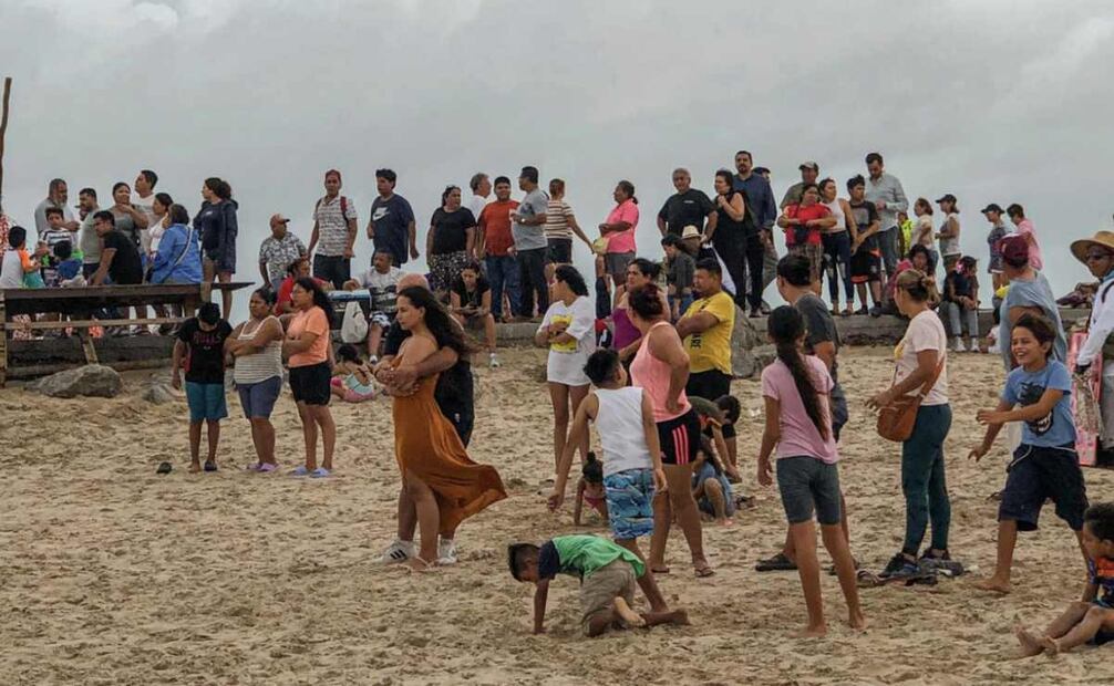 La principal versión que trascendió fue que la presencia del cocodrilo en la playa Miramar se debe a la crecida de los ríos que lo arrastraron con el lirio acuático hasta la playa. Foto: Especial
