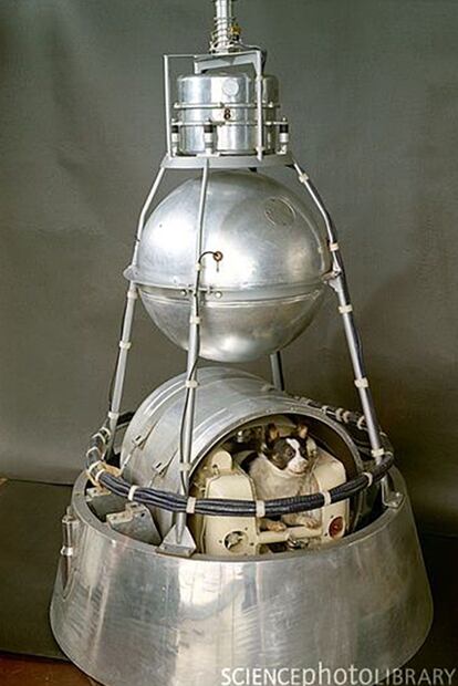 Cuando la perra Laika voló por el cielo de México, durante su viaje espacial en el Sputnik II