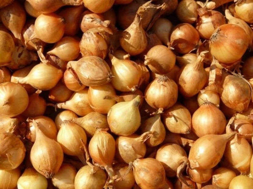 Tipos de cebolla y sus usos 
