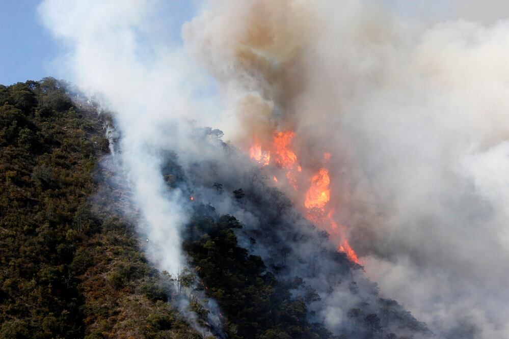 Foto: Archivo/EL UNIVERSAL