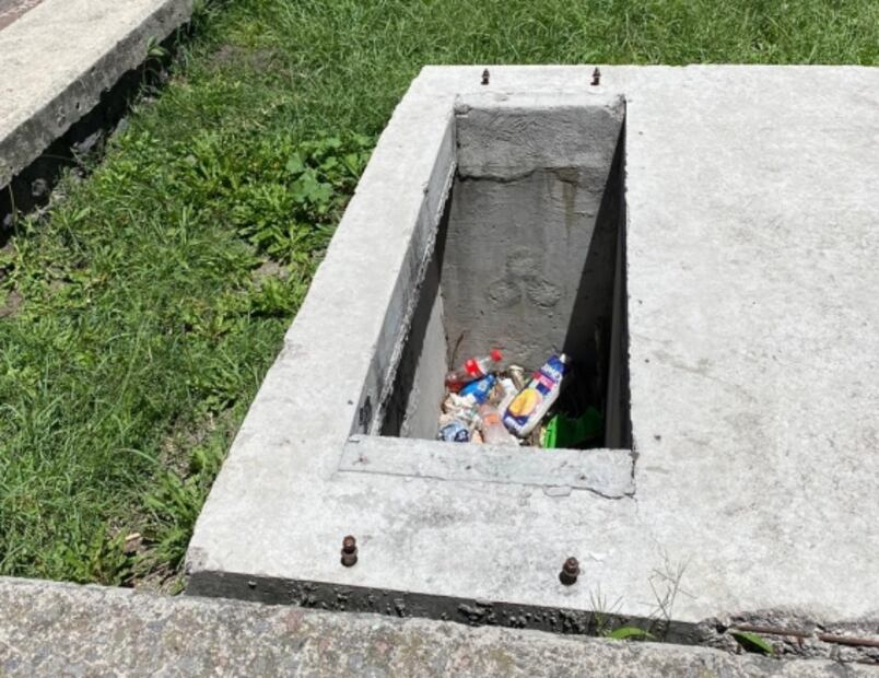 ¿Plaga de cucarachas? Captan cuatro en jardinera de Tlatelolco