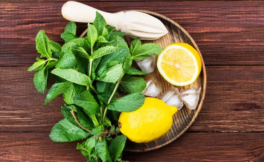Agua de limón con albahaca. Foto: Freepik