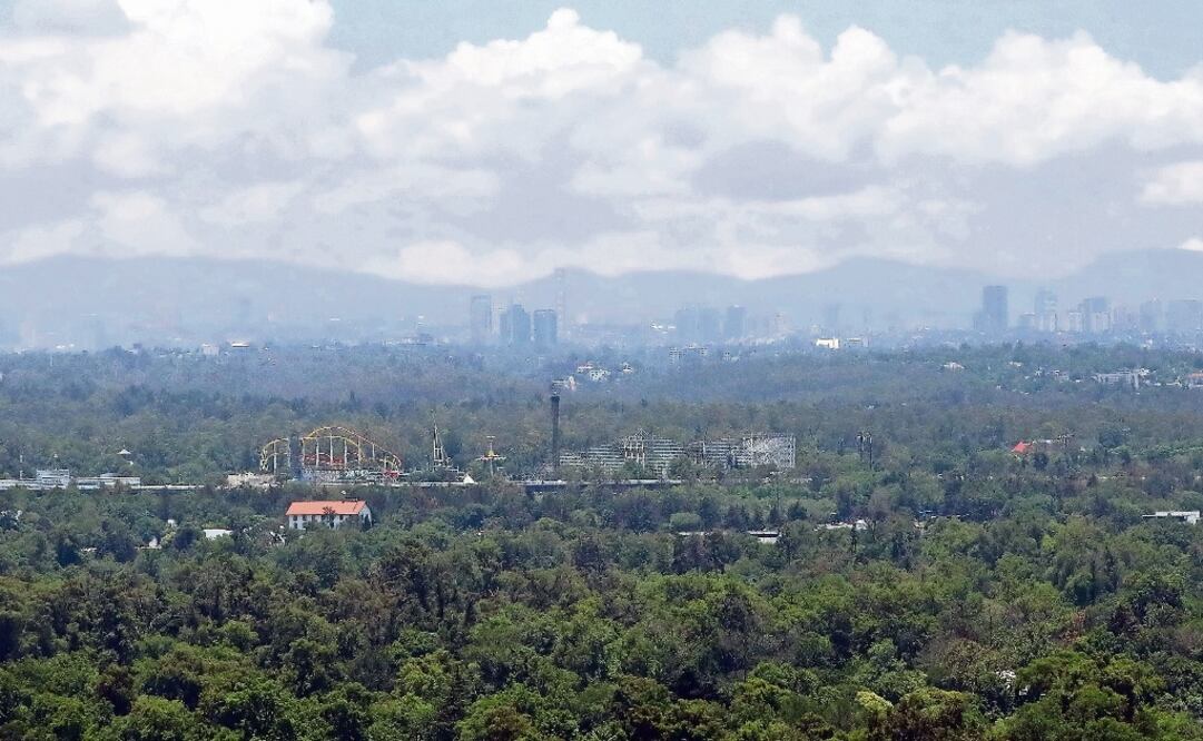 Fotografía: Archivo