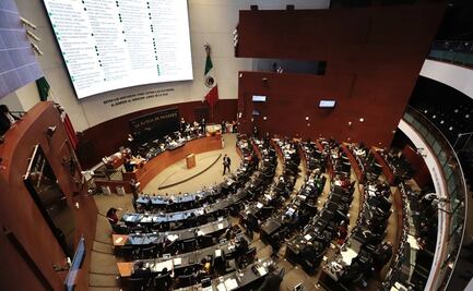 Aprueba Senado reforma para frenar explotación de niñas y niños