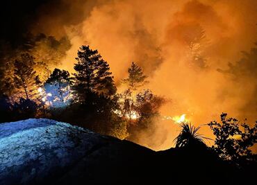 Consumen 12 incendios simultáneos bosques de Oaxaca; retienen en Mitla al secretario de Cultura