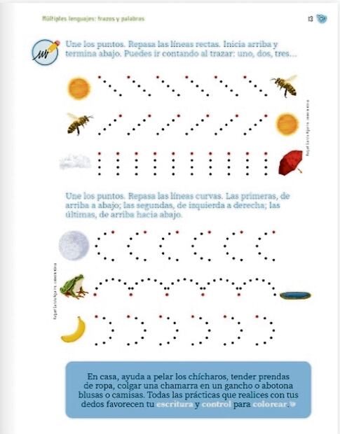 Además de actividades con trazos y líneas en varias páginas, el libro Múltiples lenguajes: trazos y palabras, de 1o. de primaria recomienda (página 13 ) hacer ejercicios como pelar chícharos, tender ropa y abotonar camisas. Para las especialistas: “Es muy peligroso que un libro de texto oficial comunique y valide la idea de que los trazos, el pisado y el punzado son requisitos para aprender a escribir”. Foto: Libro “Múltiples lenguajes” 
