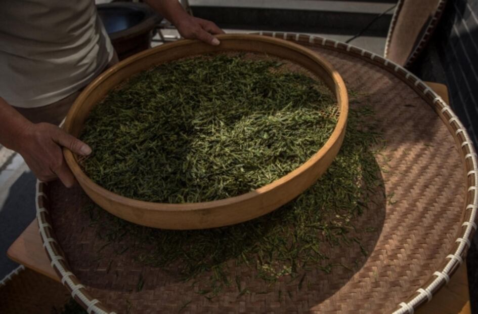 El té verde, el mejor aliado para evitar el mal de Alzheimer