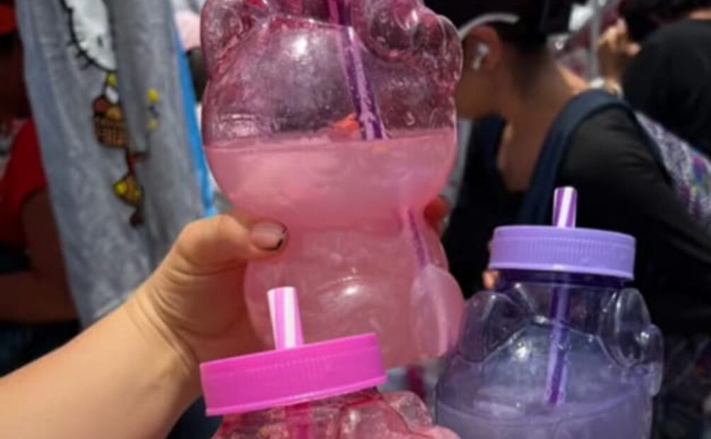 Foto: @Karla Villalon R / Tiktok