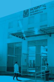 lMSS-Bienestar, sin capacidad para sustituir al Insabi