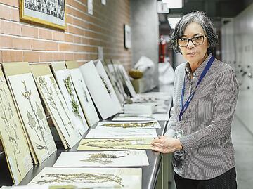 MEXU, la biblioteca verde de México