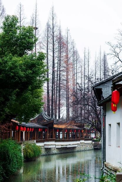 Guía de Shanghai: lugares increíbles más allá de su Disneyland