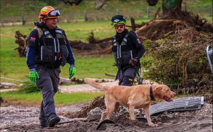 FOTOS: Inician rescatistas de Nuevo León labores de búsqueda en Texas con ayuda de binomios caninos