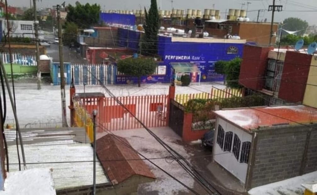 Lluvia, granizo y viento arrancan árboles y dejan sin luz a vecinos de Ixtapaluca