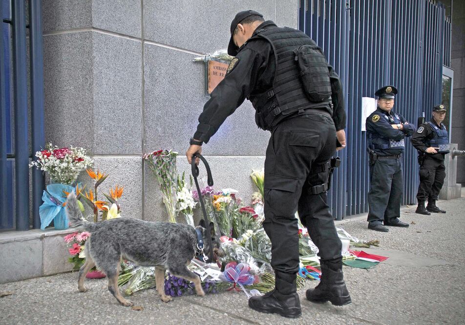 Un policía recorre con un perro detector de explosivos las flores que permanecen colocadas en memoria de las víctimas de los ataques terroristas ocurridos en París, frente a la embajada de Francia (XINHUA)