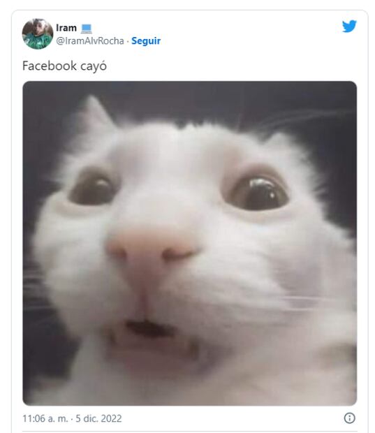 Usuarios reaccionan con memes a caída de Facebook