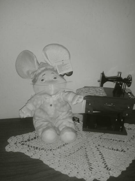Foto: Adolfo Cerón 