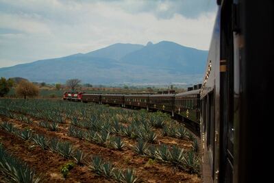 Trenes temáticos: Tequila Express vs. José Cuervo Express 