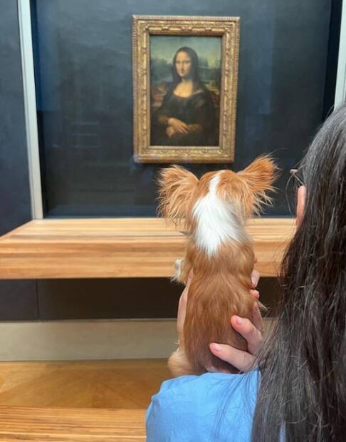 Demi Moore entra al Museo del Louvre con su perrito y la critican en redes