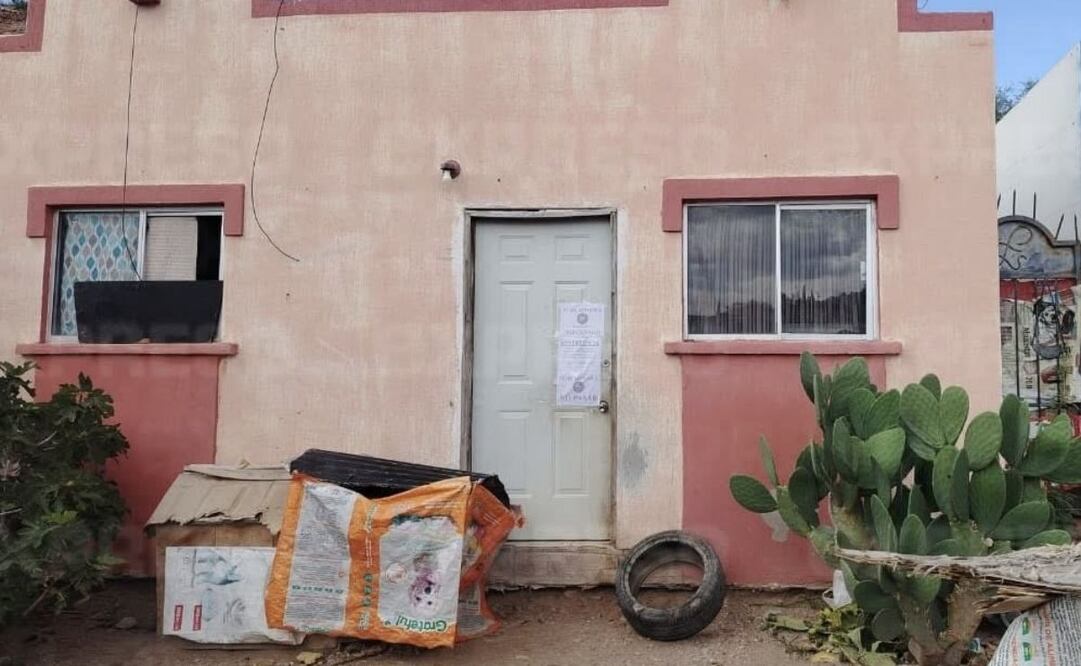Rescatan 54 perritos en condición de maltrato en Nogales, Sonora (20/08/2025). Foto: Especial