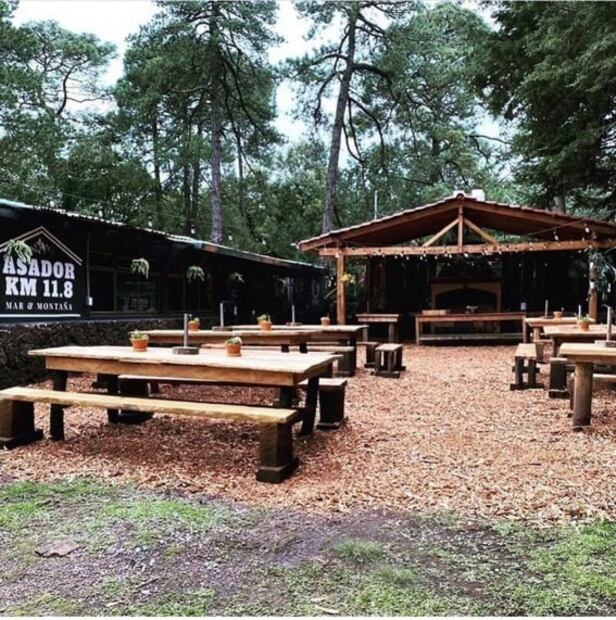 Lugares para comer en el bosque en plena CDMX