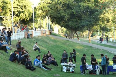 Llaman a consumidores de marihuana en Sinaloa a ampararse