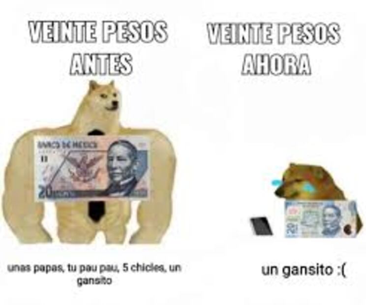 Los mejores memes de cheems, el perrito que nos muestra el antes y el ahora