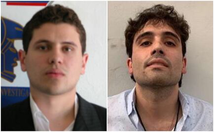 Iván Archivaldo promovió la liberación de su hermano Ovidio Guzmán: Durazo  